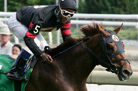 alluc jockey